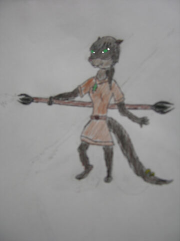 File:For otterwarrior .jpg