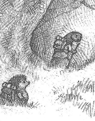 File:Jum and Uggo.jpg