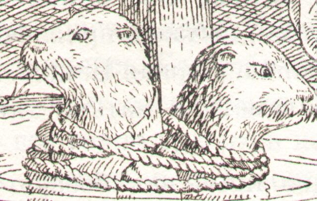 File:Whulky & Chab.jpg