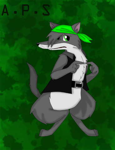 File:A.P.S.png