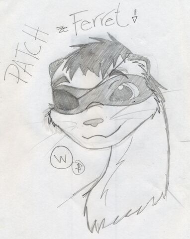 File:PatchTheFerret by Otterwarrior.jpg