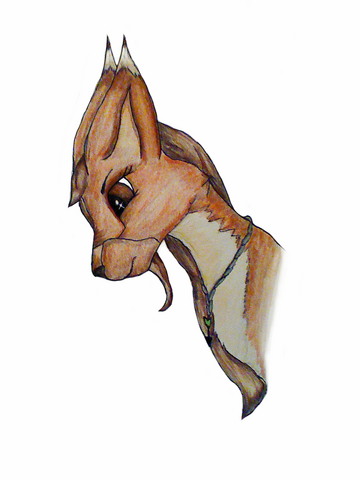 File:Riah headshot picture.png
