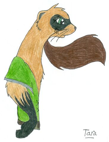File:Tara1 by Ferretmaiden.jpg