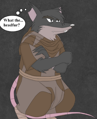 File:What the...headfur.png