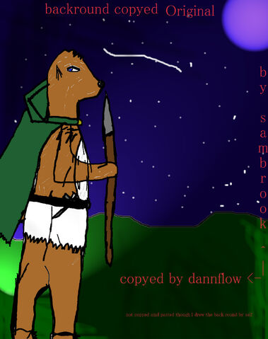 File:Otter and Night sky.jpg