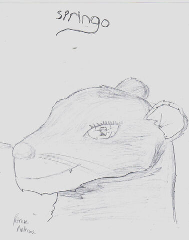 File:Springo, Light.jpg