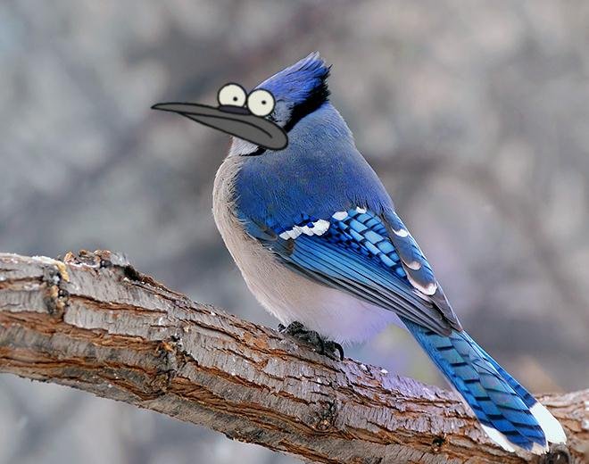Archivo:37042-regular-show-the-real-mordecai.jpg | Un Show Más Wiki