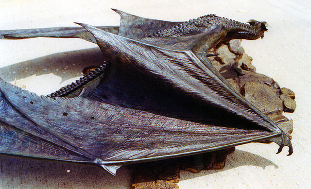 File:Tumblr luj5scjLaF1qmriu8o3 1280.jpg