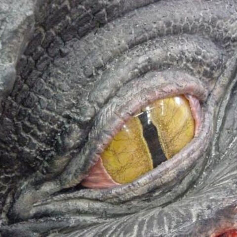 File:Dragondeadeye.jpg