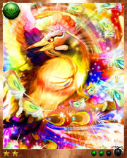 Rainbow Bird4