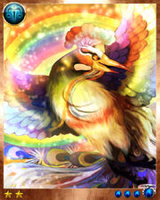 Rainbow Bird3