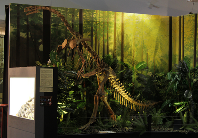 Esqueleto plateosaurus.png