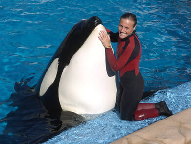 Shamu y su entrenadora.jpg
