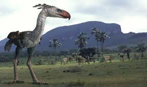 Aves del terror
