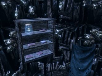 SLShelf5