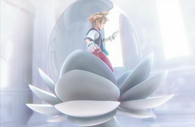 Memory Pod