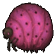 Hazegrub