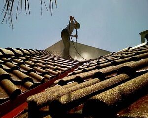 Shingle-roof-maintenance