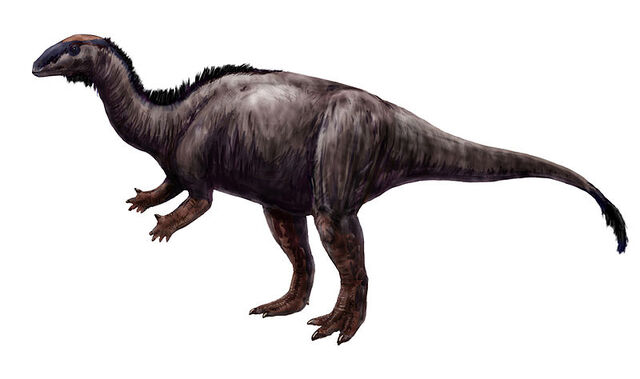 File:Camptosaurus.jpg