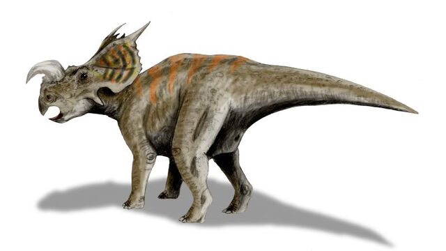 File:Einiosaurus.jpg