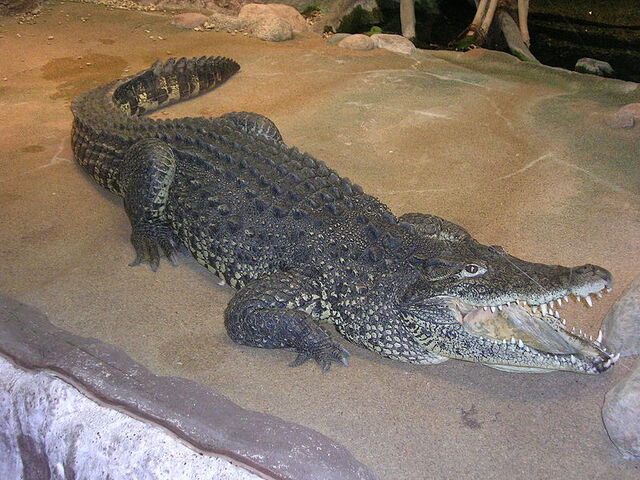 File:800px-Estocolm 2008 163.jpg