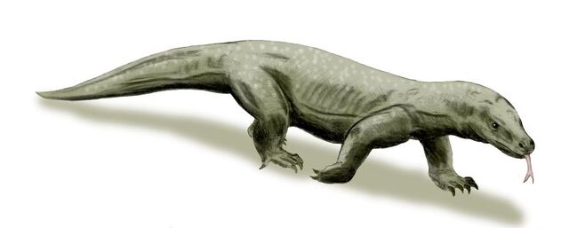 File:Varanus priscus.jpg
