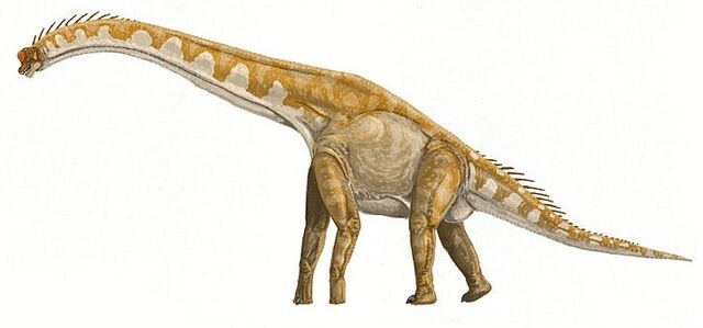 File:Giraffatitan.jpg
