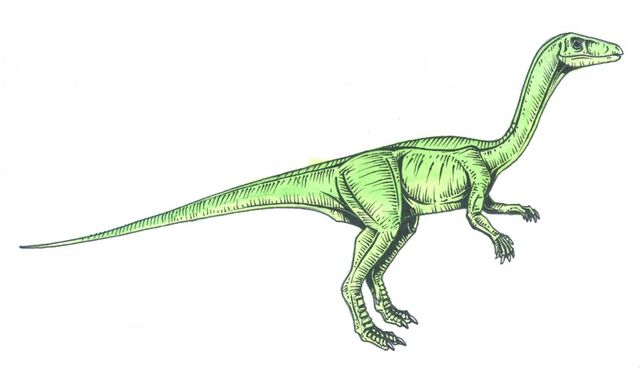 File:Procompsognathus.jpg