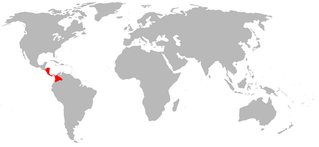 File:Auratus range.png