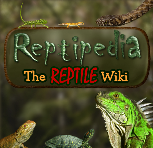 File:Reptiwiki.png