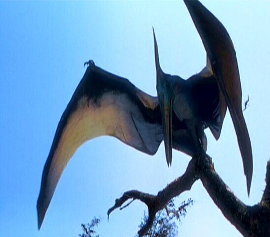 File:Pteranodon jplw.jpg