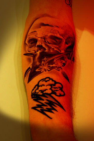 File:Skull.jpg