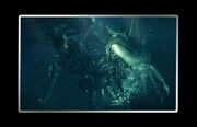 CLUB96 Sea Creeper