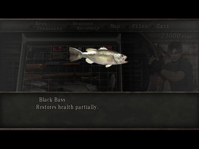 File:Bass 2.jpg