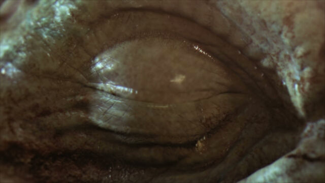 File:Hilda tear.jpg