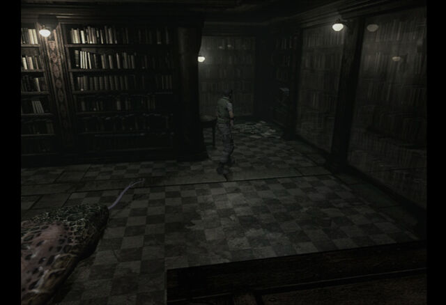 File:LArge library (12).jpg