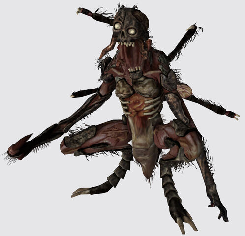 File:Chimera model.jpg