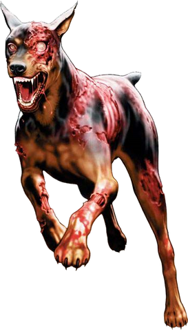 File:Cerberusds.png
