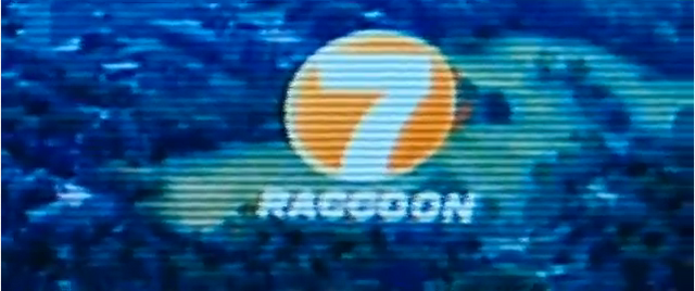File:Raccoon Seven.png