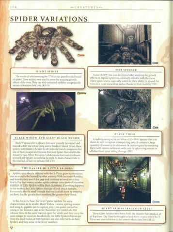 Fichier:Araignées variations.jpg