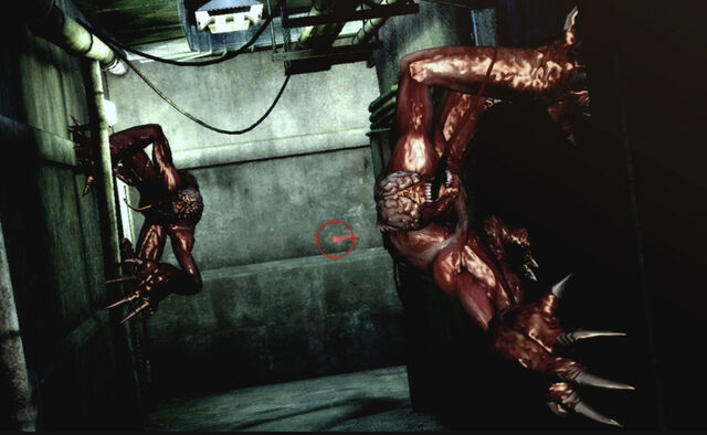 File:REDSC Licker scl.jpg