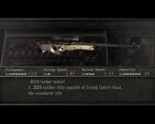 Rifle sem.jpg