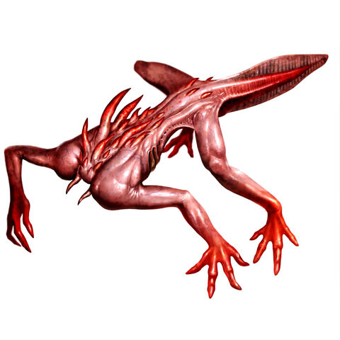 File:Albinoid.jpg