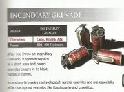 IncendiaryGrenadesDescription