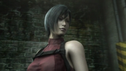 Ada raccoon city incident.png