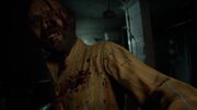 Les filles daughters resident evil 7 biohazard 4.jpg