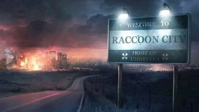 Datei:Raccooncityview.jpg