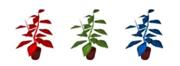 180px-Reherbs.jpg