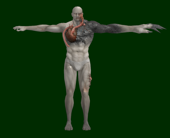File:Image00017.png