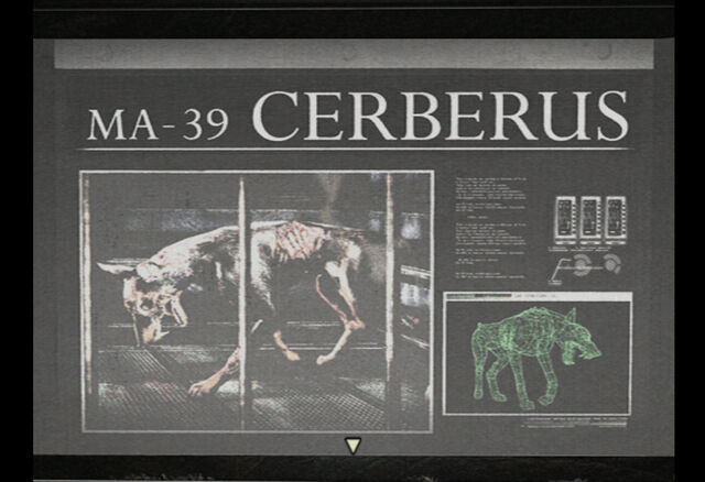 File:SLIDESHOW (3).jpg